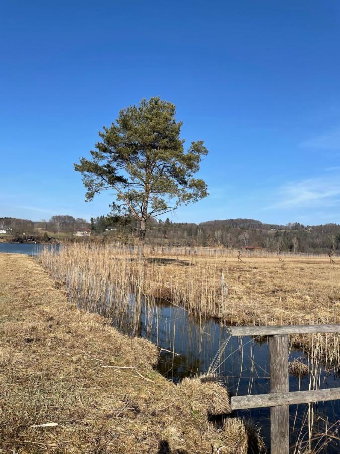 Landhotel Moorhof 프랑킹 외부 사진